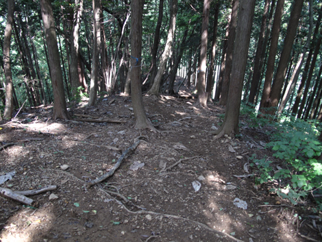 20150929hike (110)